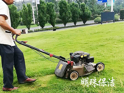 綠化養(yǎng)護5